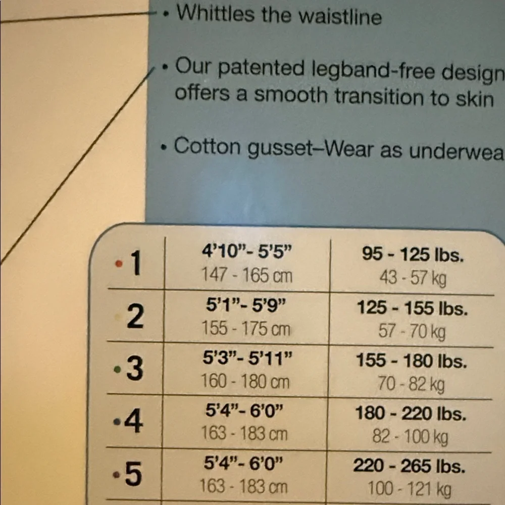 ASSETS by Sara Blakely Hi-Waist Shaper in Nude, Sz 3